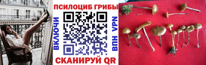 гидра онион  Болохово  Галлюциногенные грибы ЛСД  цена  